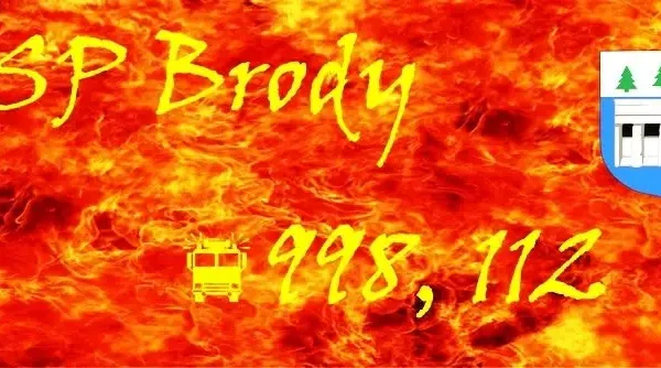 Drzewo na linii energetycznej w Borze Kunowskim – interwencja OSP Brody