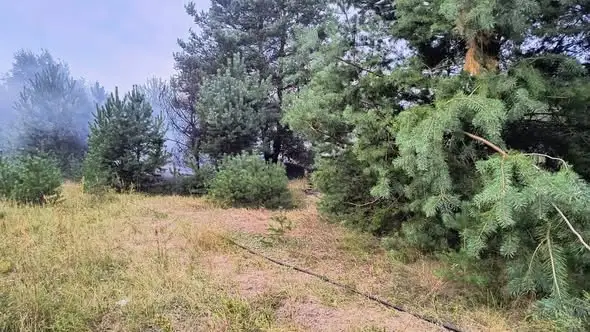 Pożar nieużytków w Wąchocku przy ul. Nadrzecznej