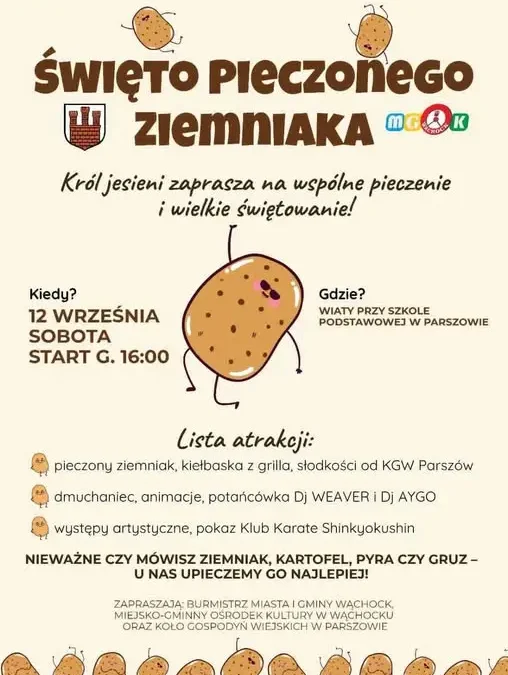 Pokaz karate na Święcie Pieczonego Ziemniaka w Parszowie