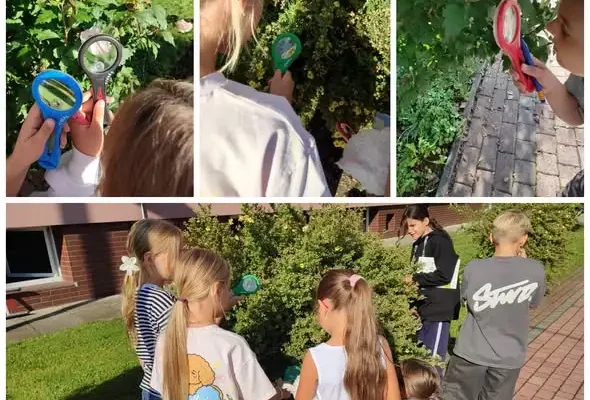 Uczniowie klasy 4 odkrywają przyrodę przez lupę i mikroskop