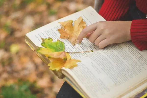 Narodowe Czytanie „Dziadów” w Wąchocku – literatura wśród dożynkowych tradycji