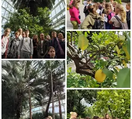 Klasa 5a w Ogrodzie Botanicznym UJ – lekcja biologii wśród tropikalnych roślin