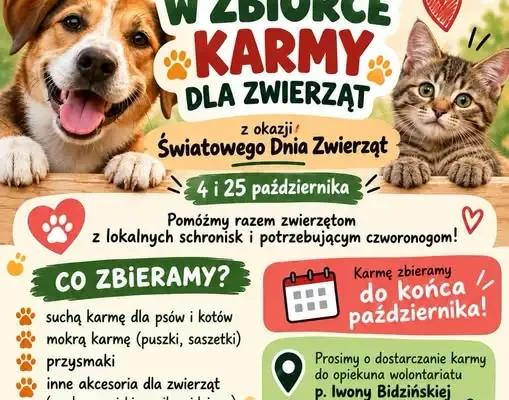 Szkolny Wolontariat organizuje zbiórkę karmy i akcesoriów dla zwierząt